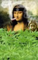 /album/rana/cannabis-jpg1/