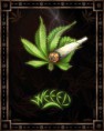 /album/rana/mariguana-jpg1/