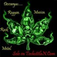 /album/rana/marihuana-01-jpg1/